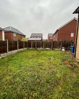 Overgrown residential backyard